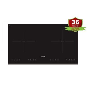 Bếp từ Faster FS 699I Plus